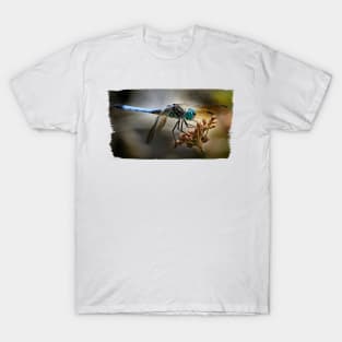 Blue Dasher Dragonfly T-Shirt